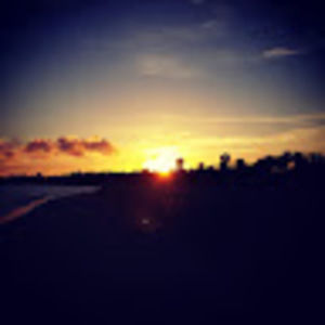 Meet your Posher, Priscilla